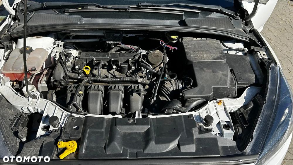 Ford Focus - 12
