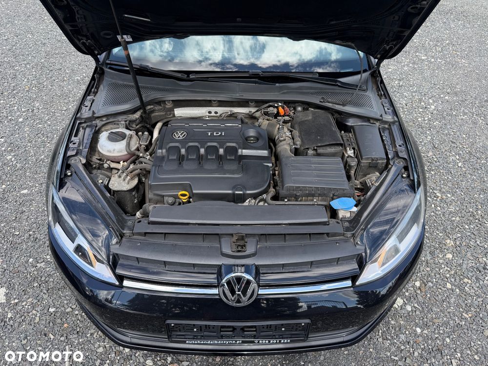 Volkswagen Golf - 30