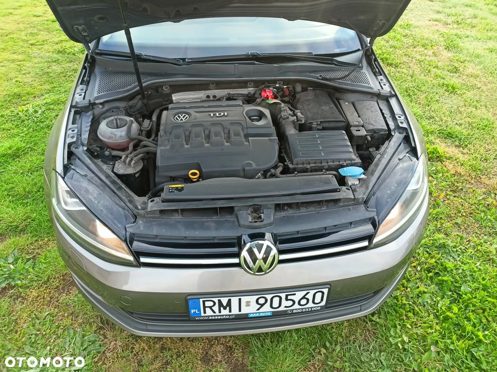 Volkswagen Golf 1.6 TDI BlueMotion Trendline - 14