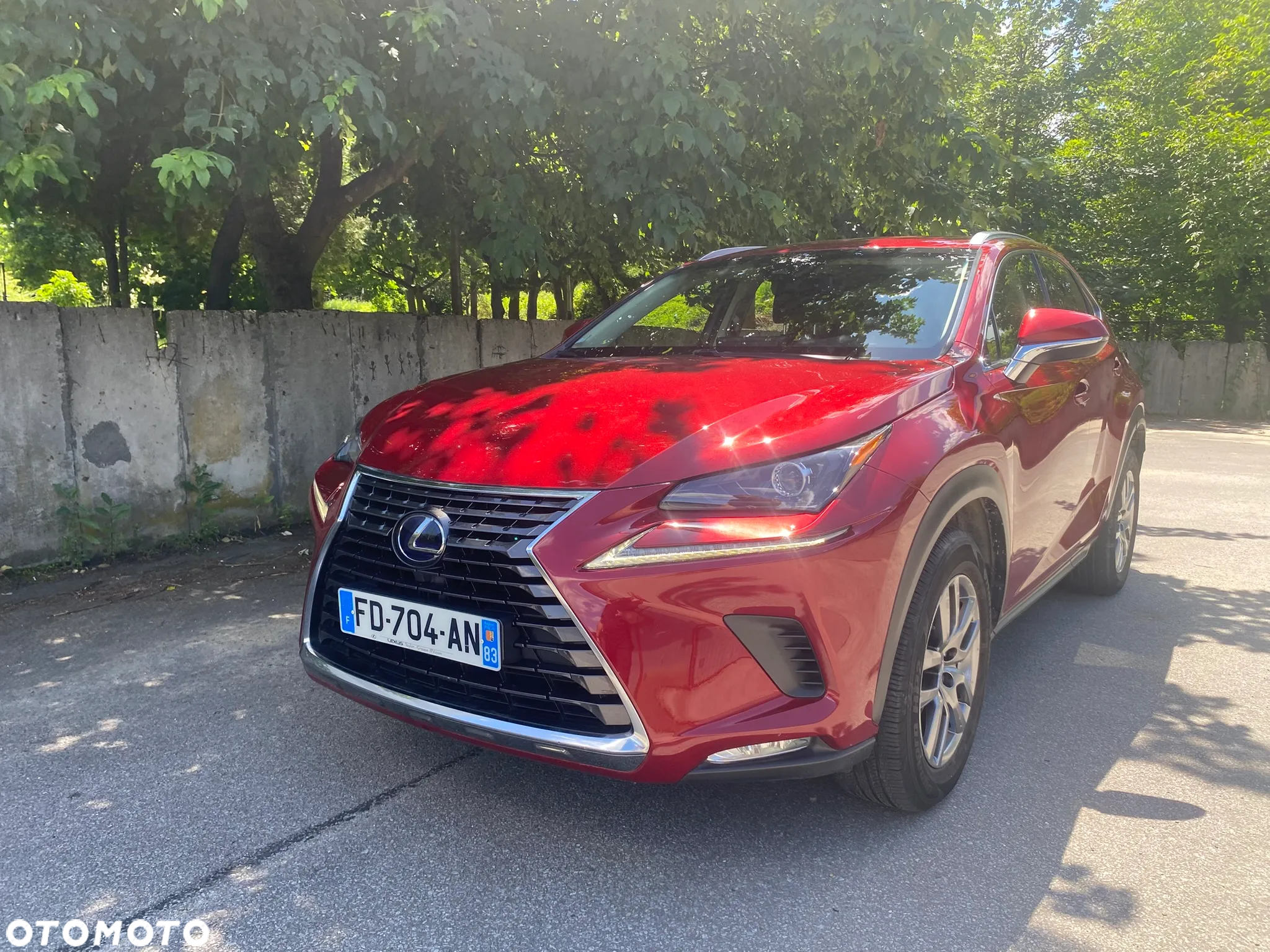 Lexus NX 300h Elegance AWD - 4