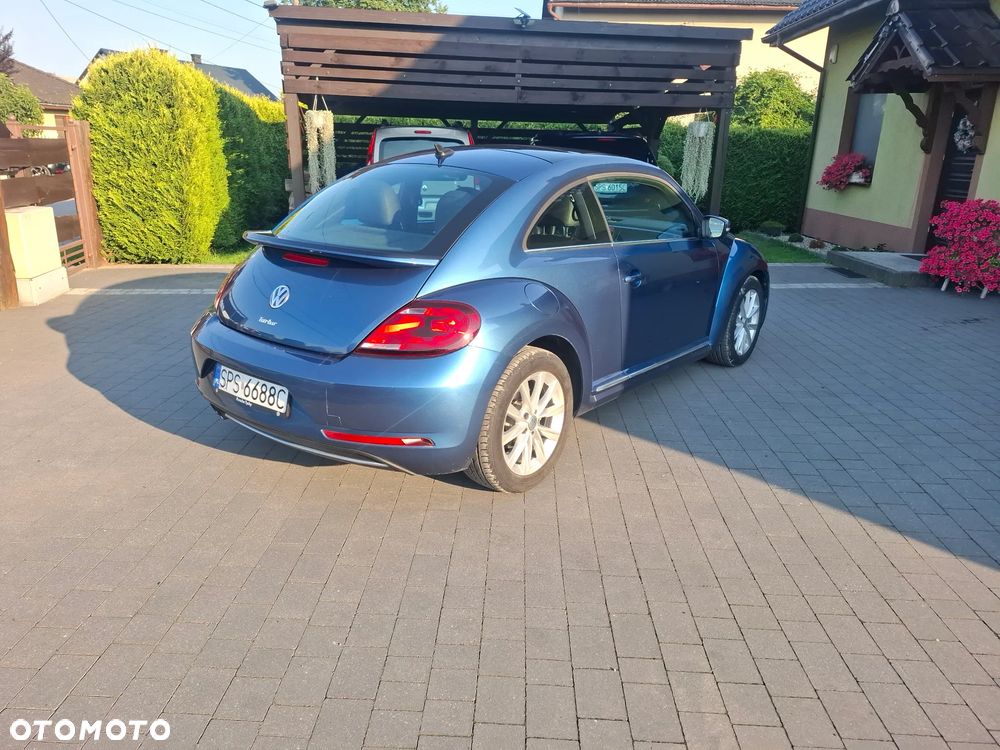 Volkswagen Beetle - 3