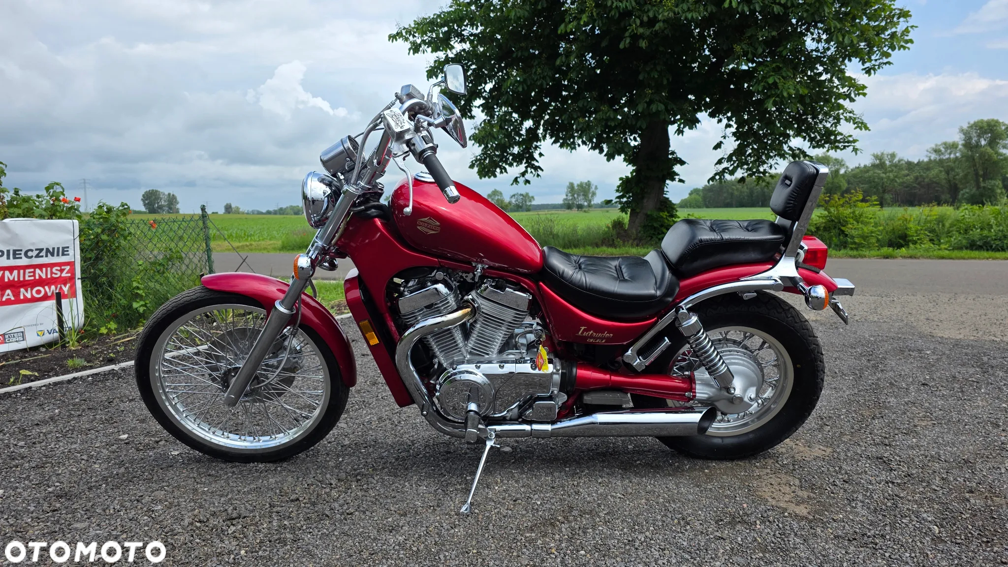 Suzuki Intruder - 3