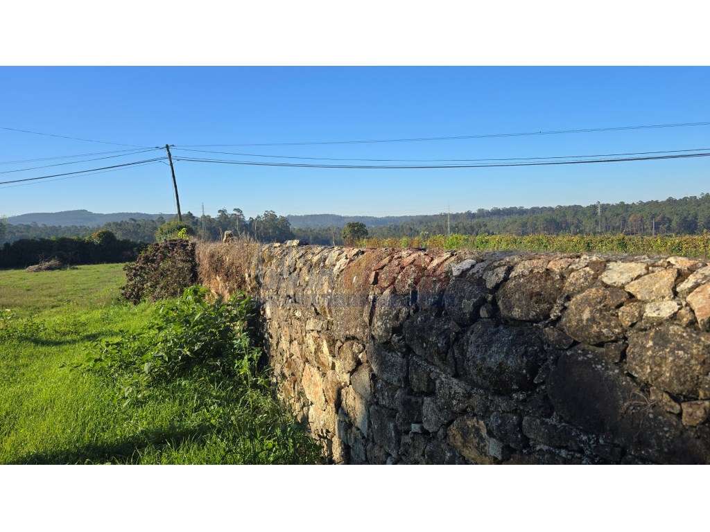 Terreno de Construção com 5.000 m² em Parada, Vila do Conde - Grande imagem: 3/13