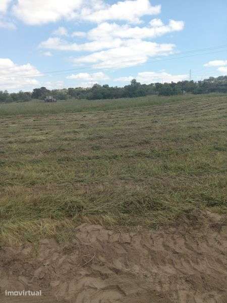 Terreno 5 mil euros de entrada p/ casa movel - Grande imagem: 5/10
