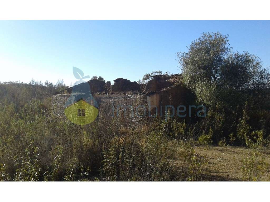 São Bartolomeu de Messines - Silves (sitio Perna Seca) - Grande imagem: 2/6