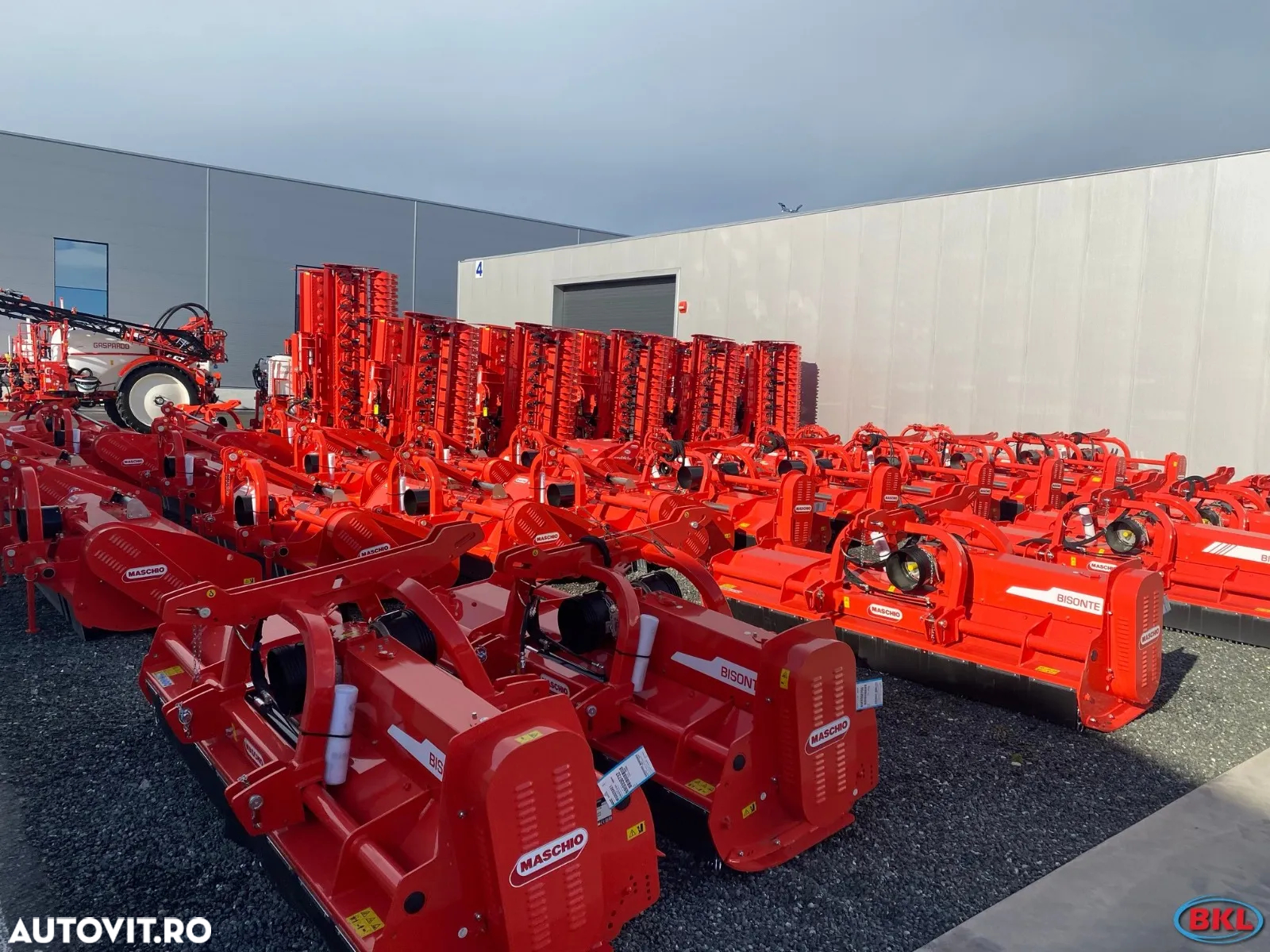 Maschio BIRBA,FURBA,BARBI,BELLA,BRAVA,CORAZZA,TIGRE,BISONTE,BUFALO,CHIARA,TORNADO,LEOPARD,GEMELLA,GIRAFFA - 9