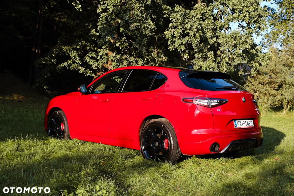 Alfa Romeo Stelvio 2.0 Turbo Tributo Italiano Q4 - 6