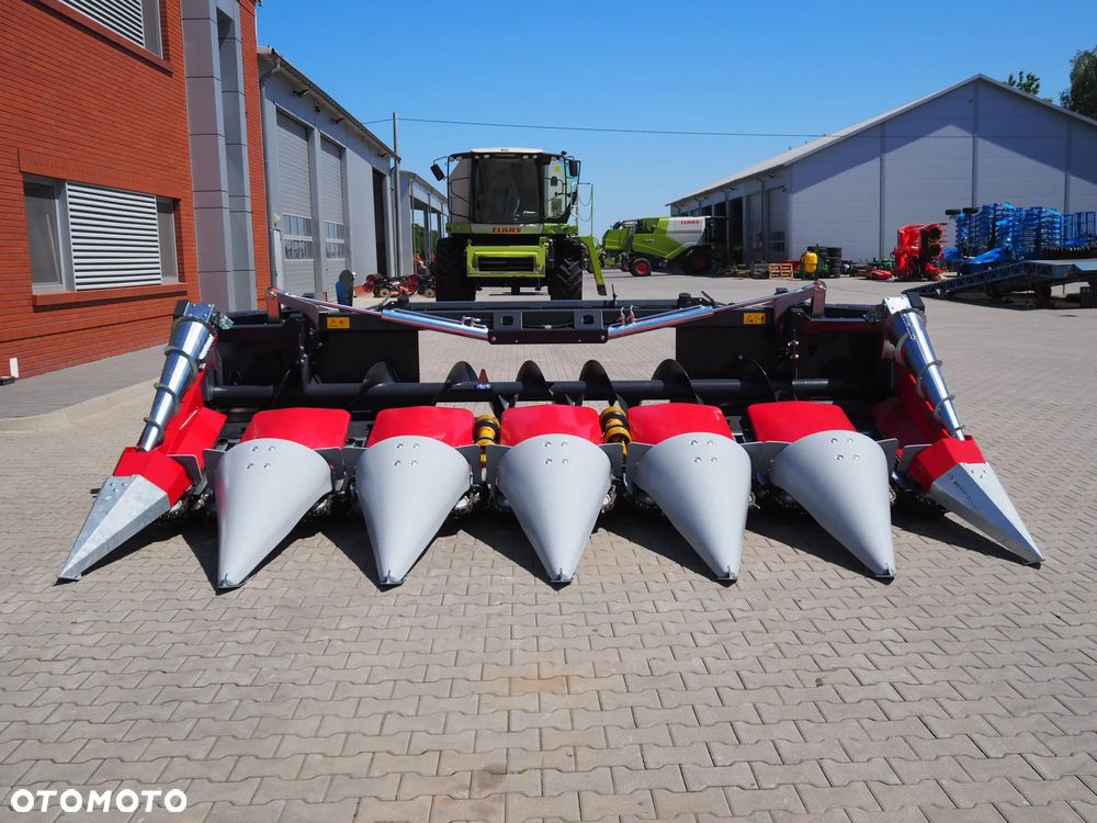 Dominoni SL 976 BG KAIMAN - 9