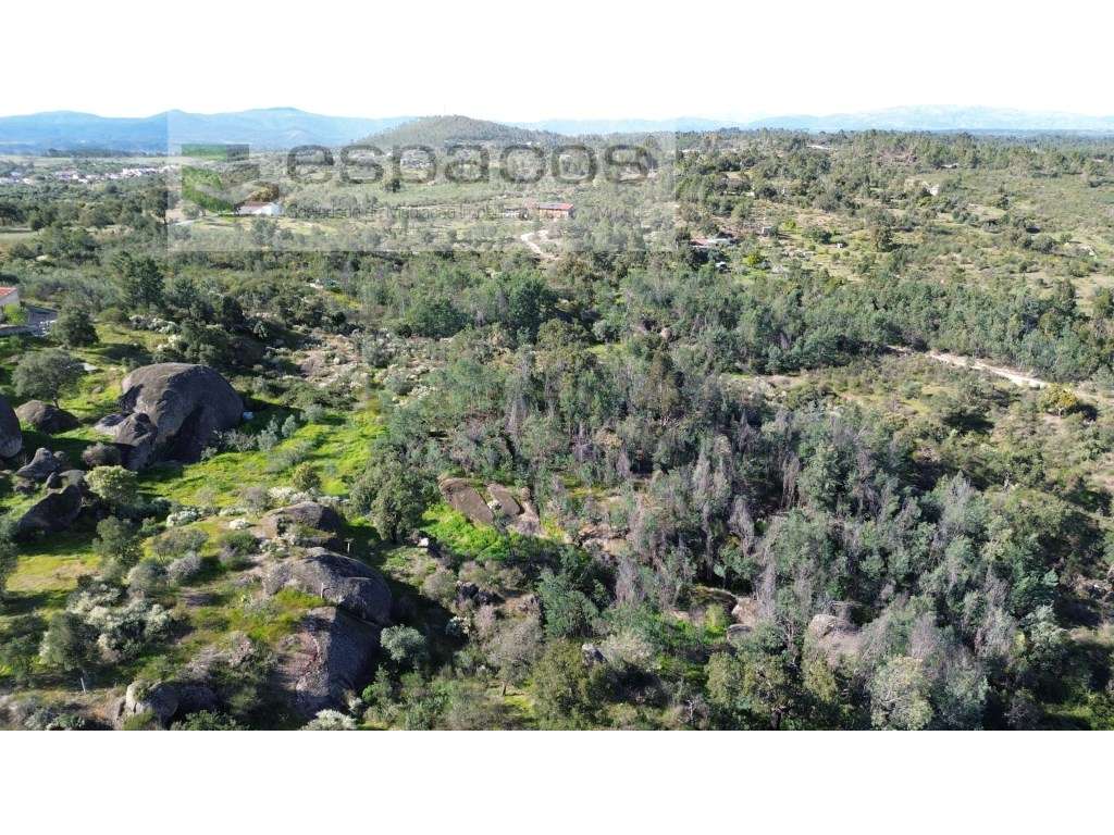 Quinta S. Lourenço - Palvarinho - Grande imagem: 3/11