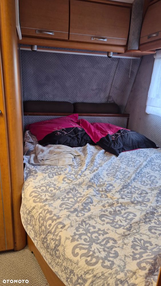 LMC Favorit 520 - 14