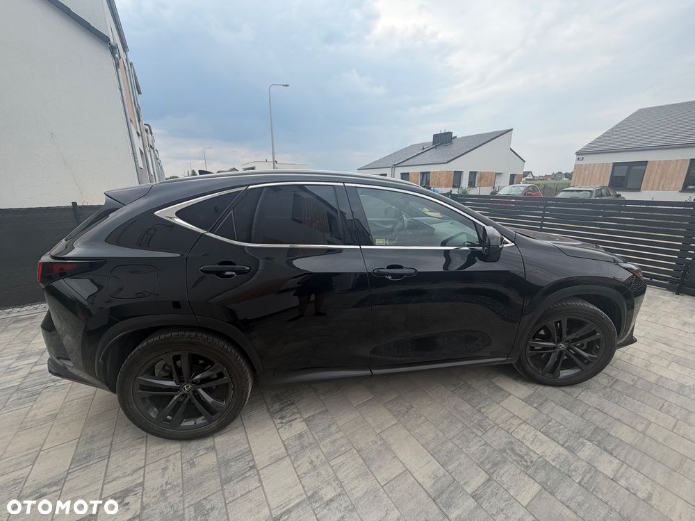 Lexus NX - 6
