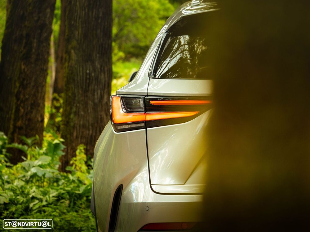 Lexus NX 350h Executive+ - 27