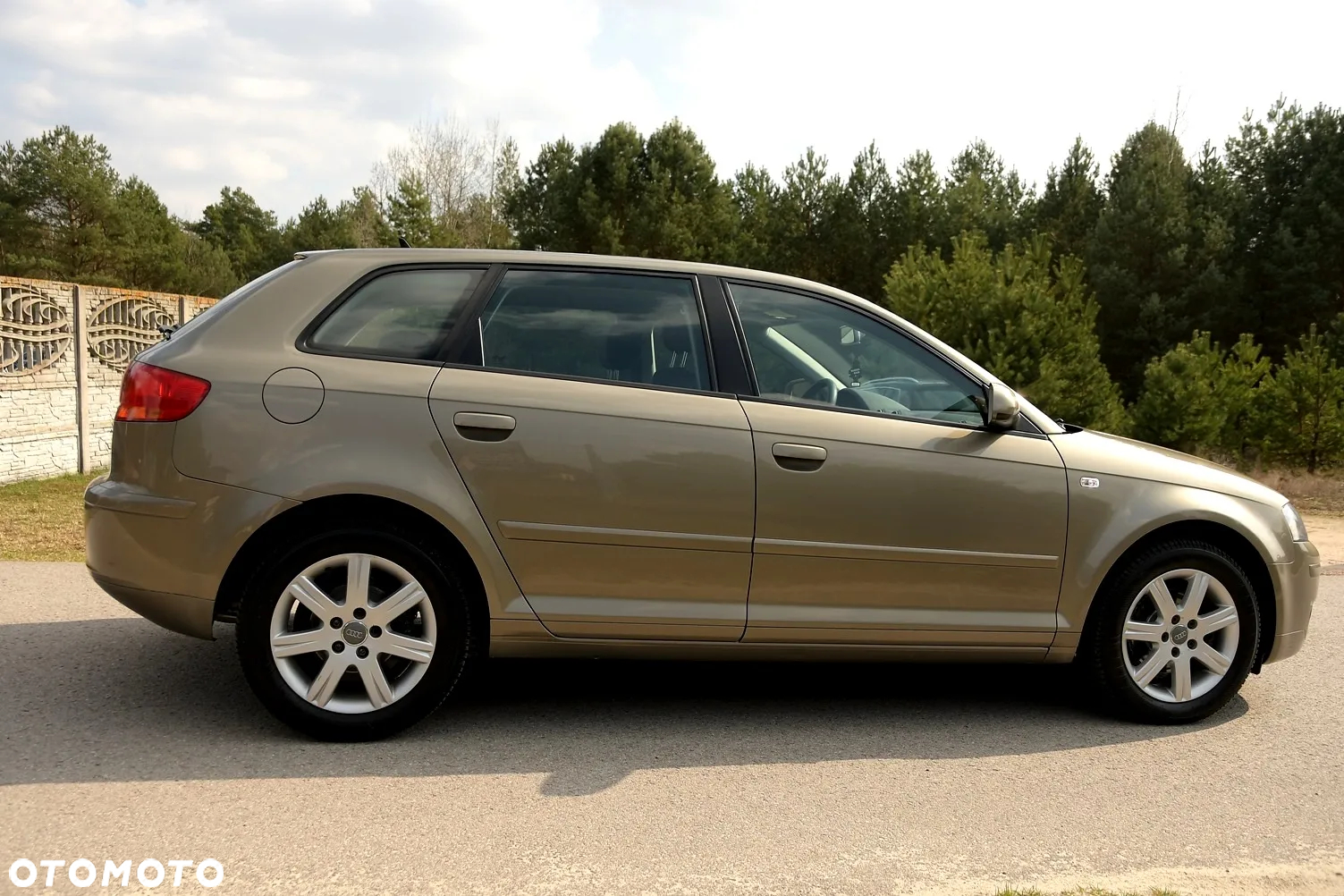 Audi A3 1.9 TDI Sportback Ambiente - 9