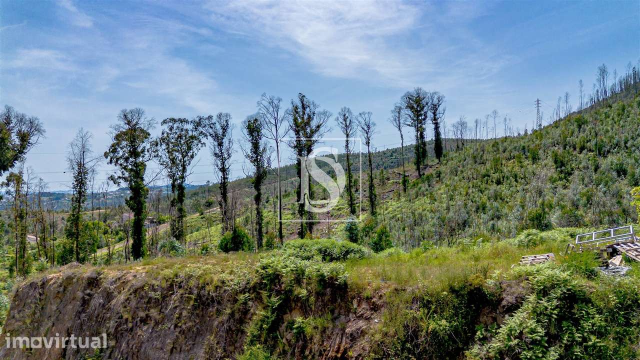 Lote Industrial  Venda em Vila Garcia, Aboim e Chapa,Amarante - Grande imagem: 3/16
