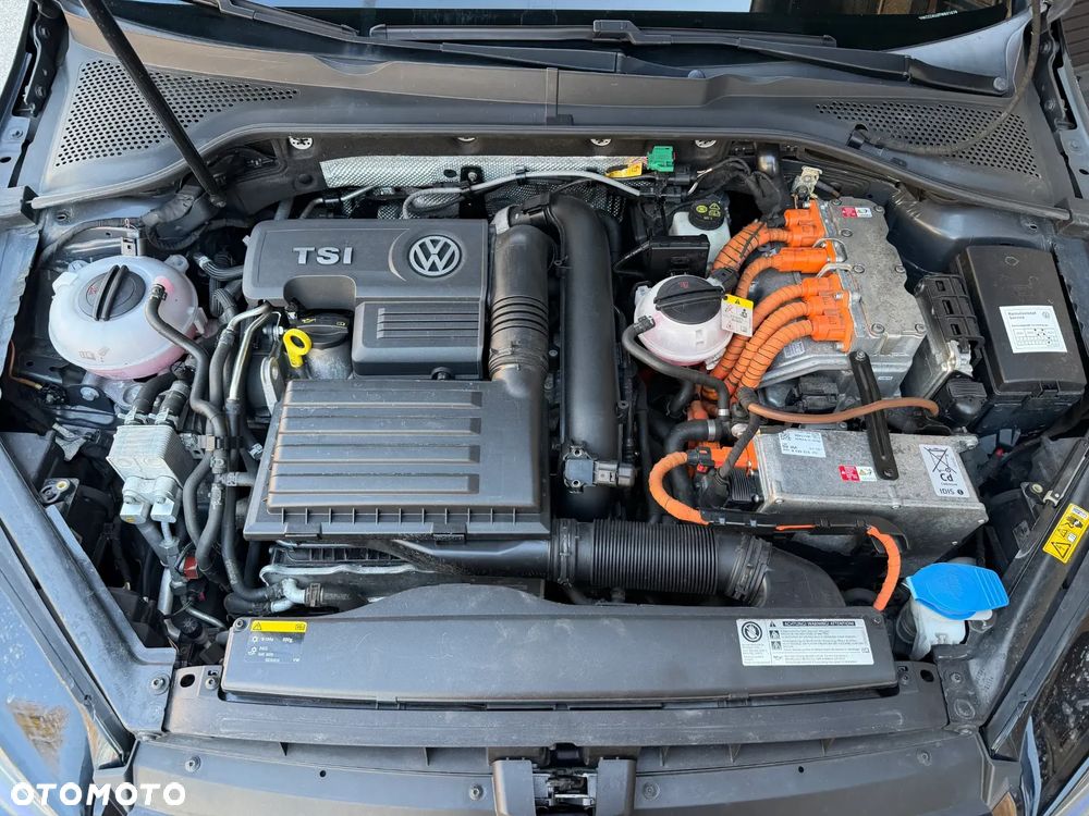 Volkswagen Golf - 35