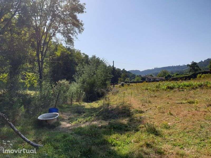 Campo com duas leiras encostado ao afluente do rio Ave - Grande imagem: 5/12