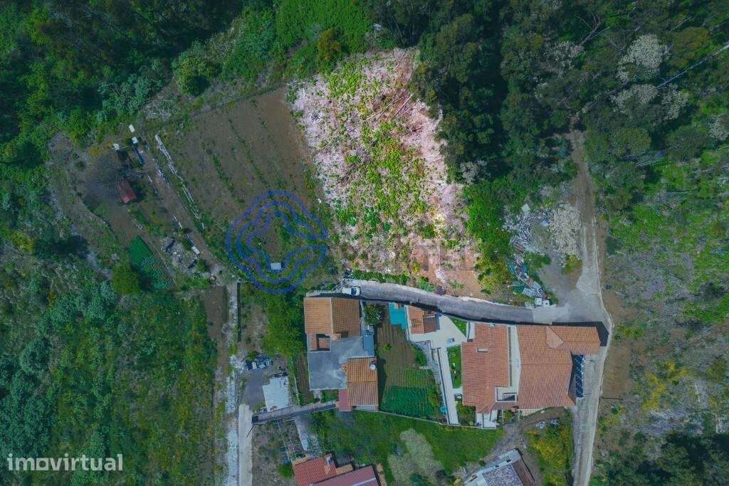 Terreno Rústico com Capacidade Construtiva — Freguesia de Santa Cruz, - Grande imagem: 3/16