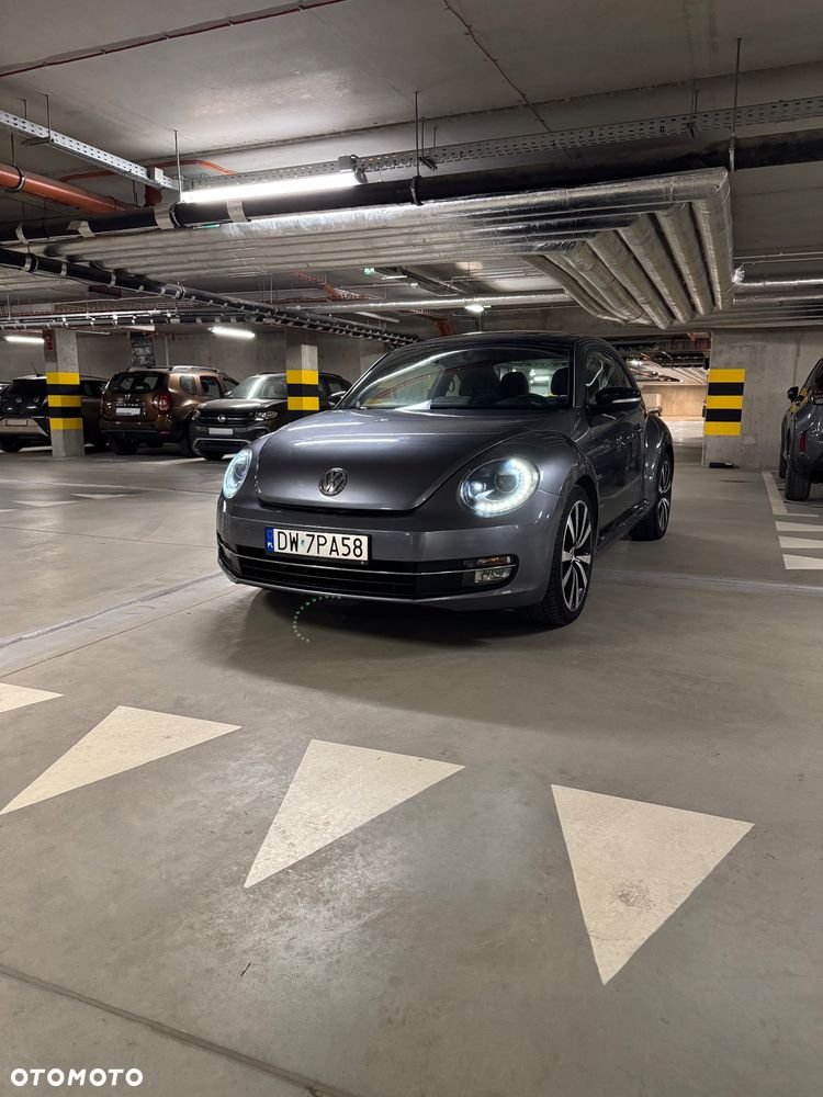 Volkswagen Beetle - 8