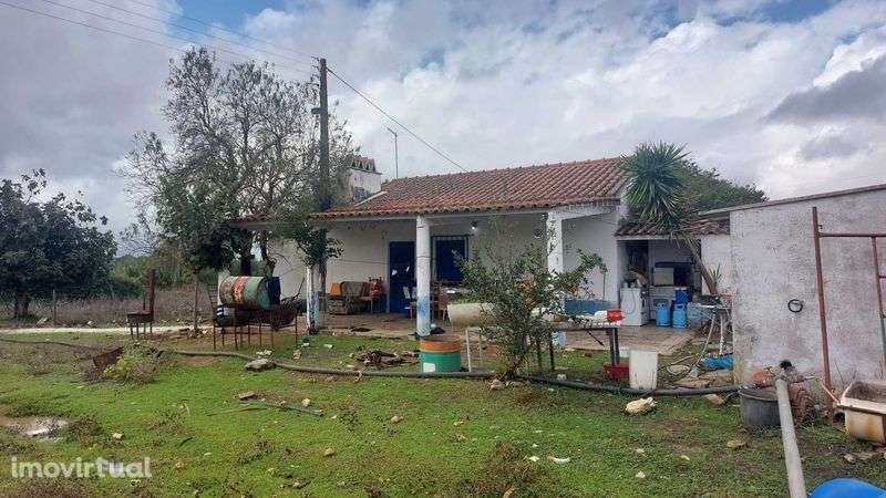 Rústico c/ Habitação e dependências - Alcôrrego | AVIS - Grande imagem: 2/9