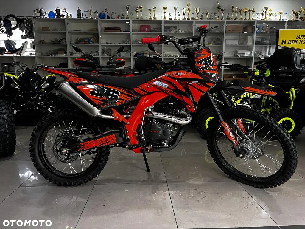 Diabolini Inny - 21