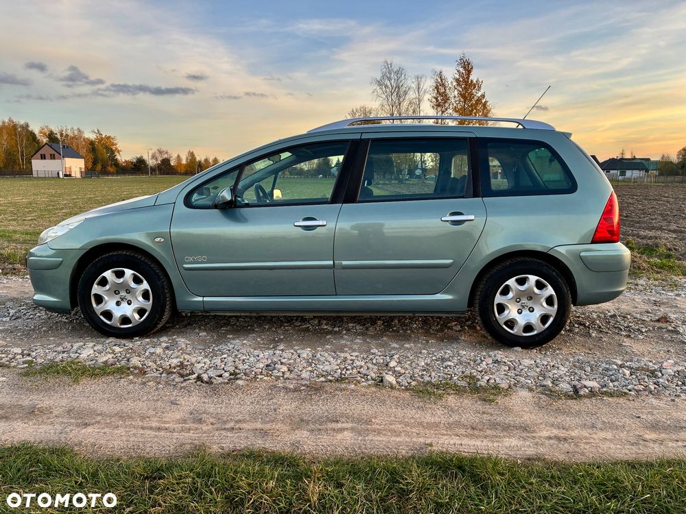 Peugeot 307 1.6 Oxygo - 15