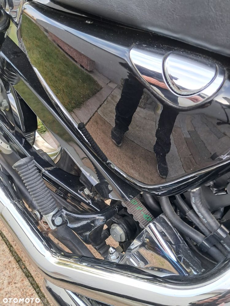 Harley-Davidson Sportster Custom 1200C - 13