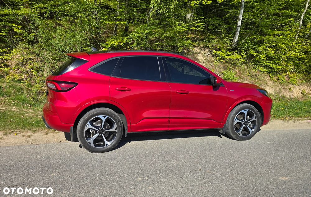 Ford Escape - 6