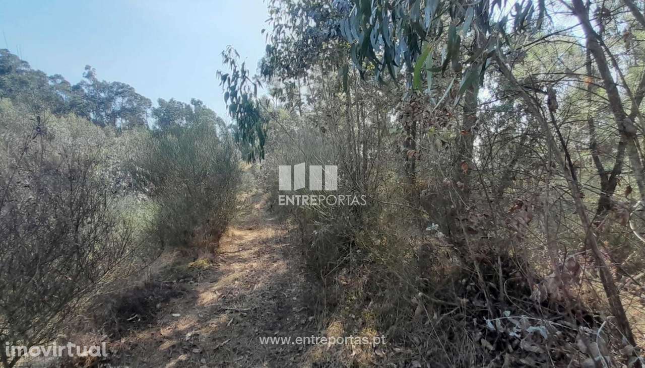 Venda de Terreno - Bouça, Vila Seca, Barcelos - Grande imagem: 4/10