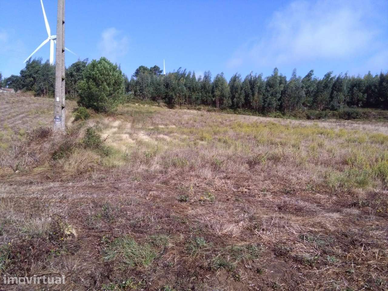 GRANDE OPORTUNIDADE DE TERRENO NA SERRA DE SÃO JULIÃO - TORRES VEDRAS - Grande imagem: 5/9