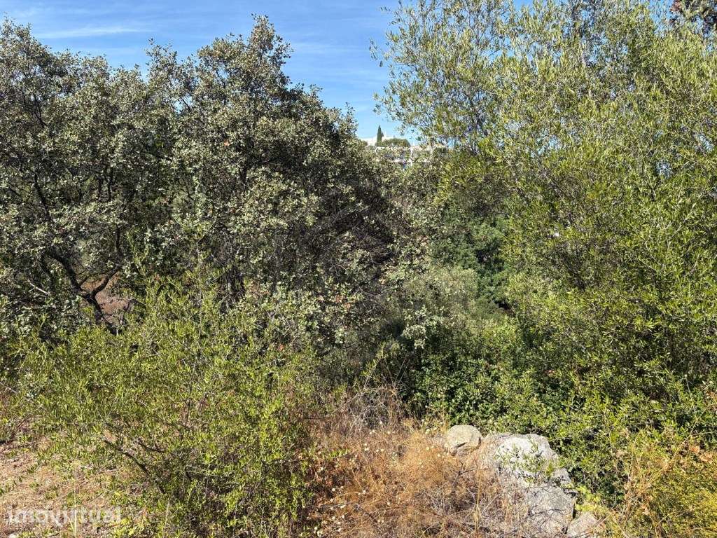Terreno Rústico com 890m² na Aldeia da Soalheira, Loulé, Algarve - Grande imagem: 3/14