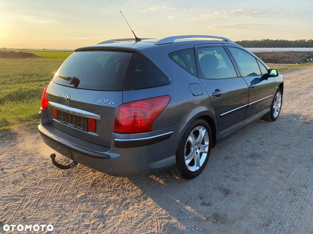 Peugeot 407 - 8
