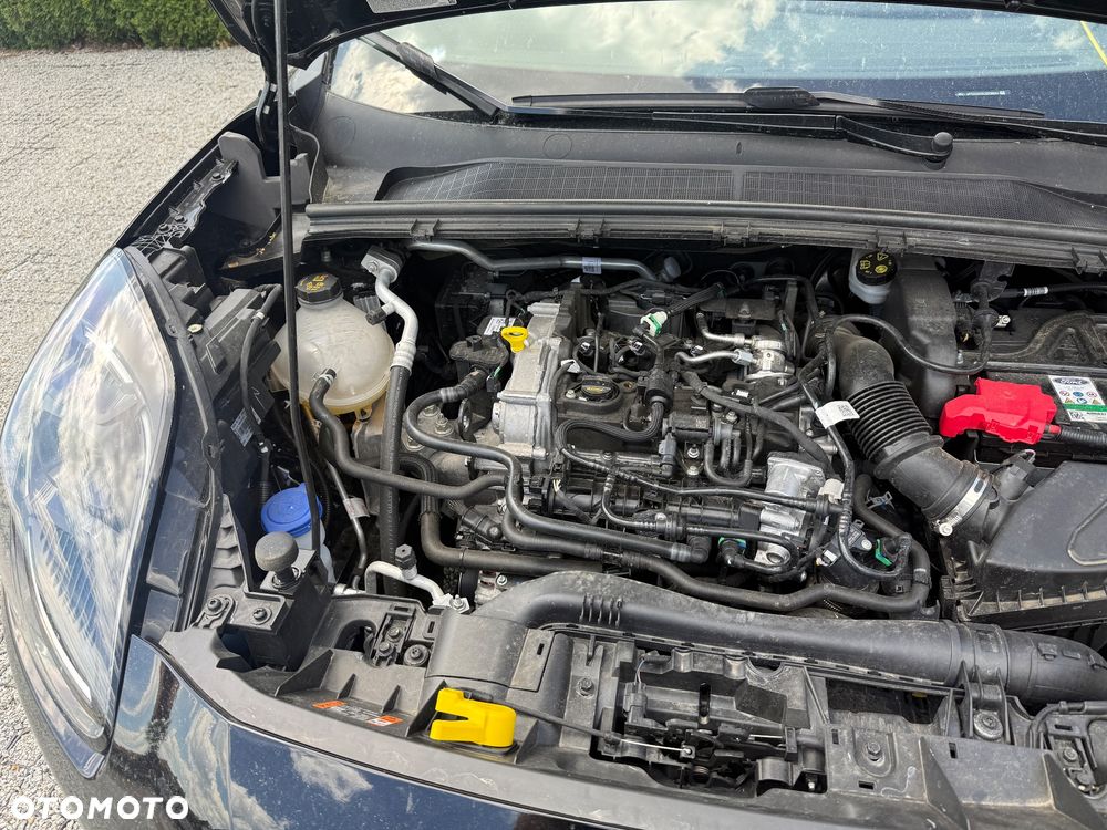 Ford Puma 1.0 EcoBoost mHEV Titanium Design DCT - 19