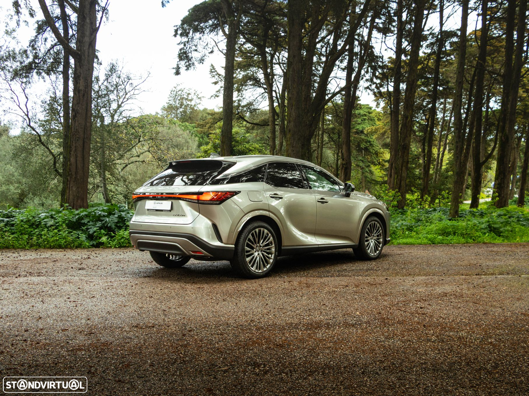 Lexus rx-450h - 6