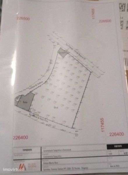 Casa com oliveiras - Grande imagem: 4/5
