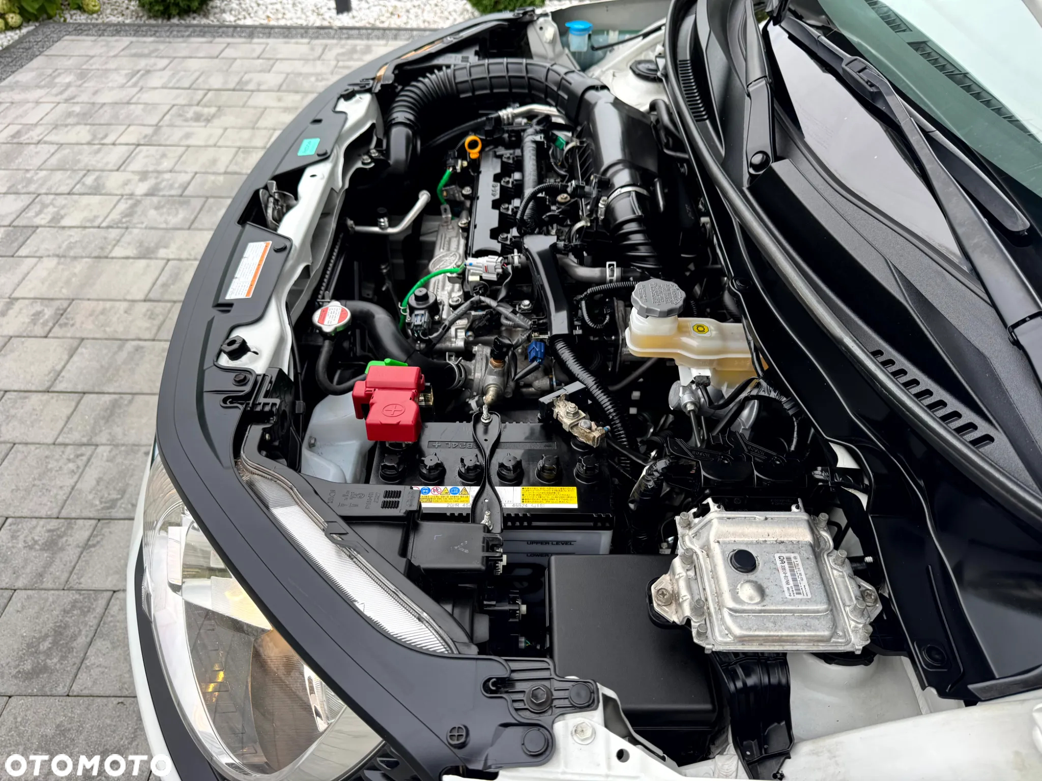 Suzuki Ignis 1.2 Premium 4WD - 19