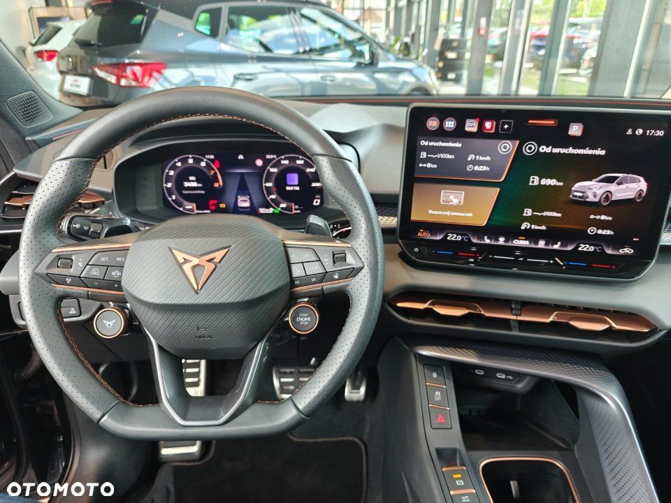 Cupra Terramar - 19