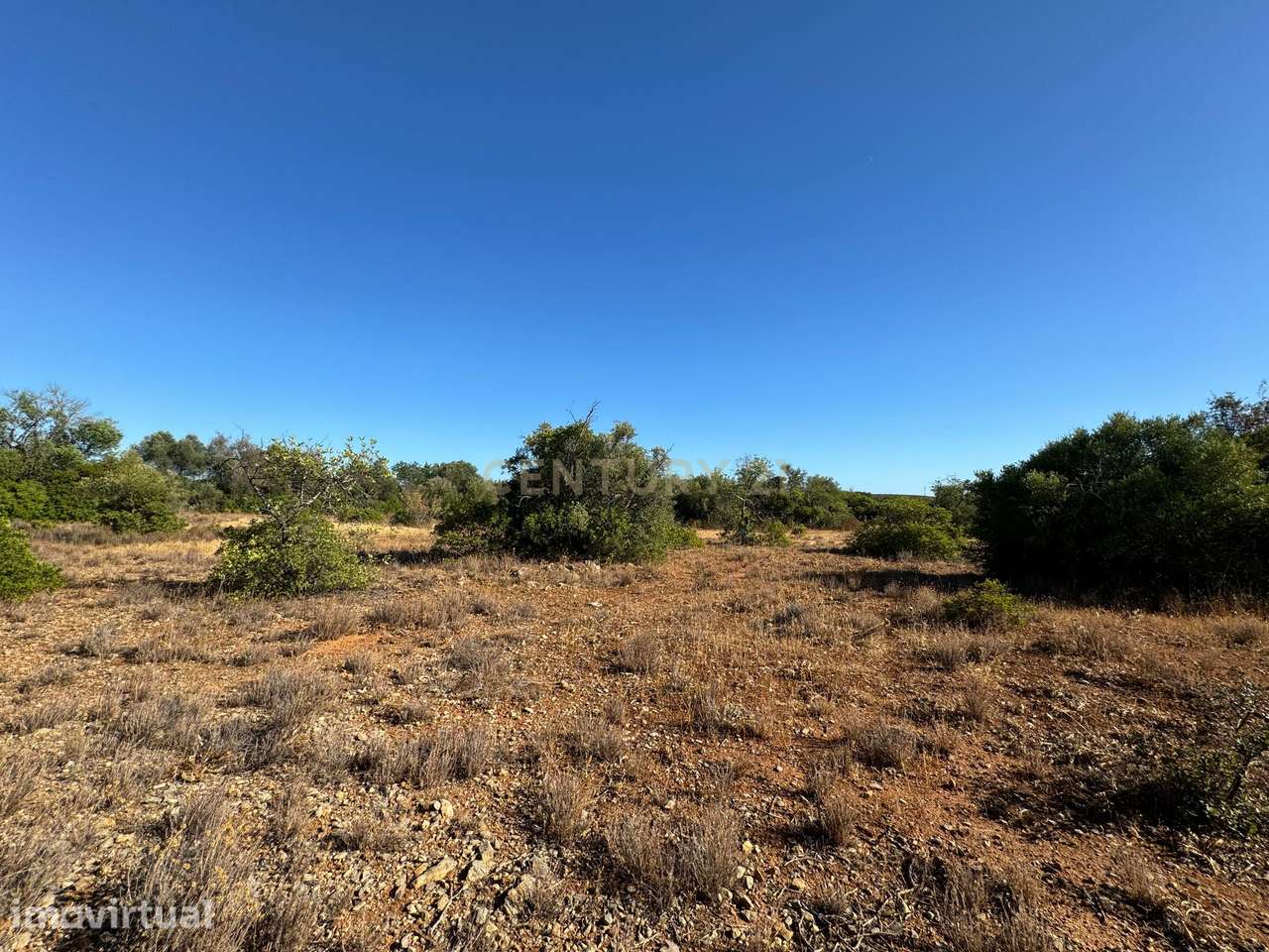 Terreno Agrícola para Venda – Santa Catarina, Tavira com 10.320 m2, - Grande imagem: 4/16