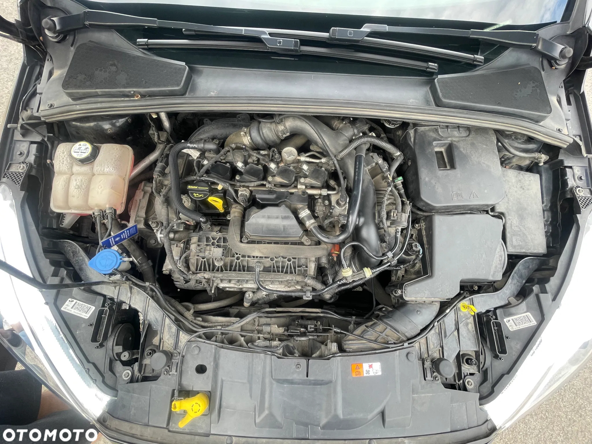 Ford Focus 1.5 EcoBoost Titanium ASS - 19