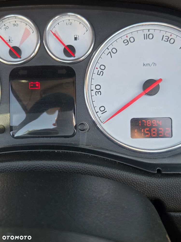 Peugeot 307 2.0 XS - 17
