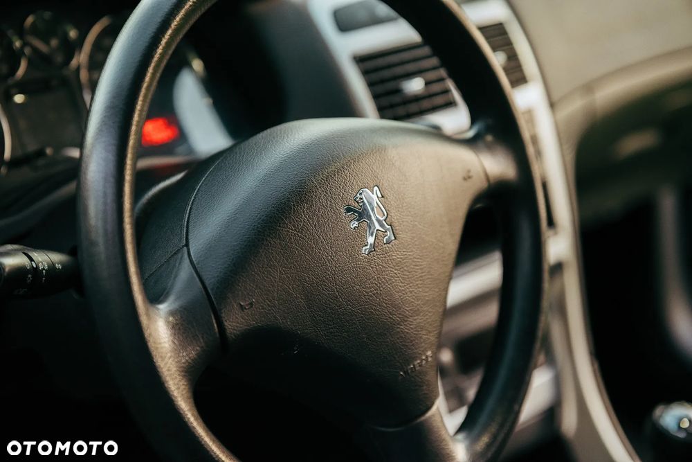 Peugeot 307 1.4 Oxygene - 19