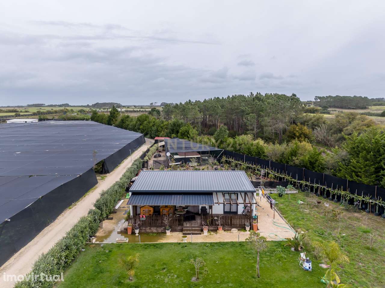 Negócio de Flores - Grande imagem: 2/24