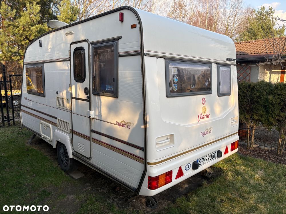 Bailey Pageant Majestic - 6