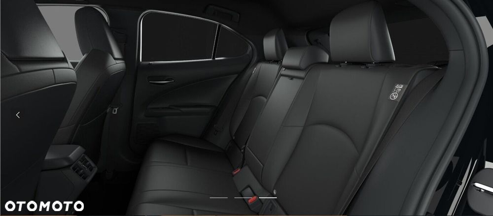 Lexus UX 250h GPF F Sport Design 2WD - 5