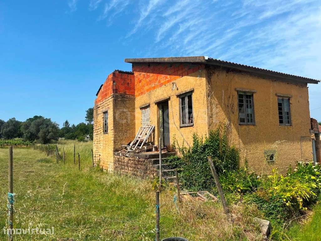 Moradia para remodelar ou construir em excelente localização - Grande imagem: 5/5