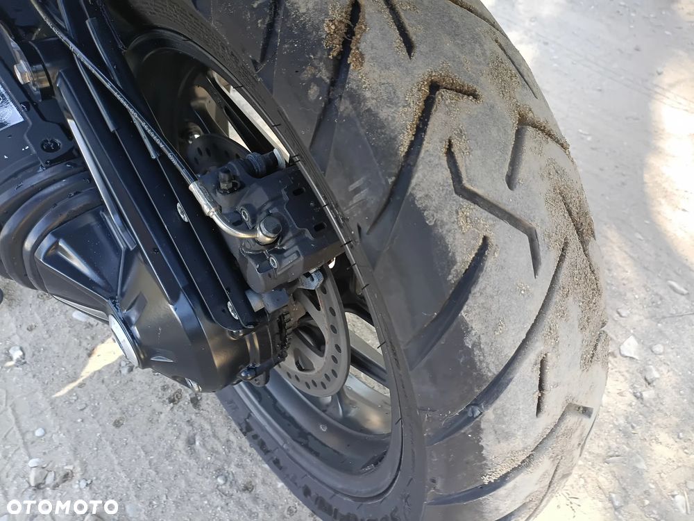 Triumph Tiger - 12