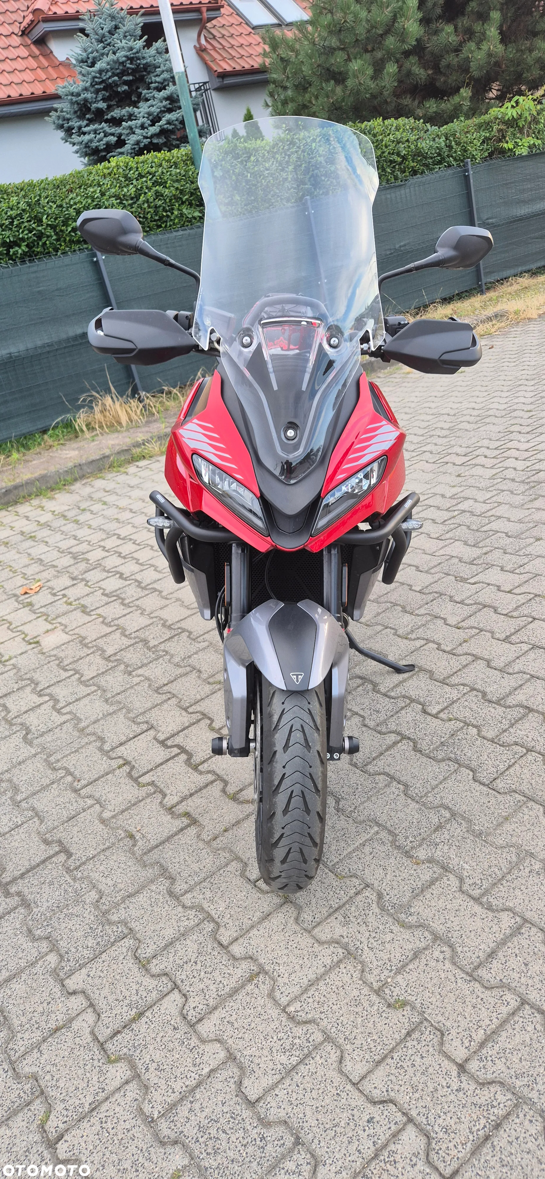 Triumph Tiger - 2
