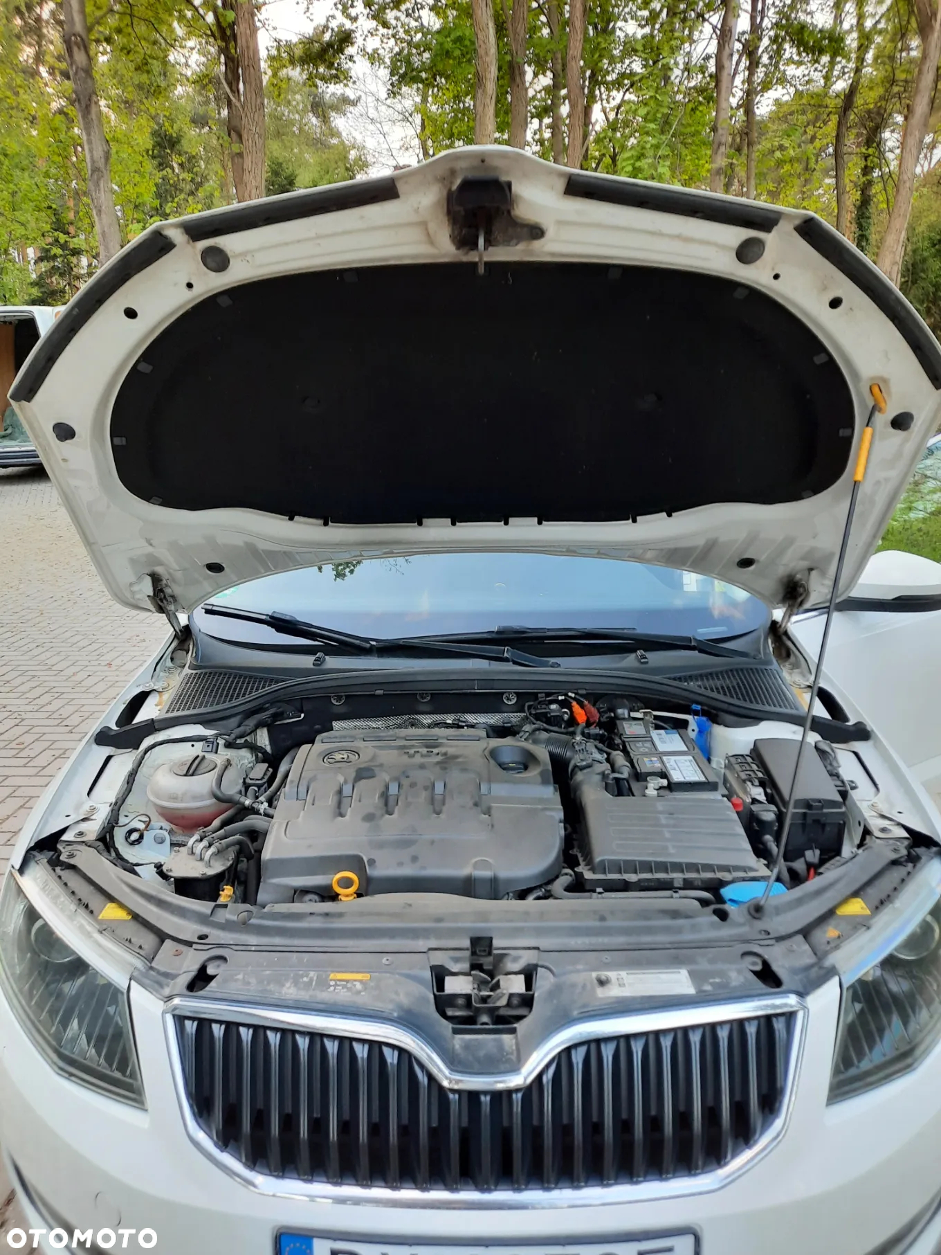 Skoda Octavia 1.6 TDI Ambition - 15