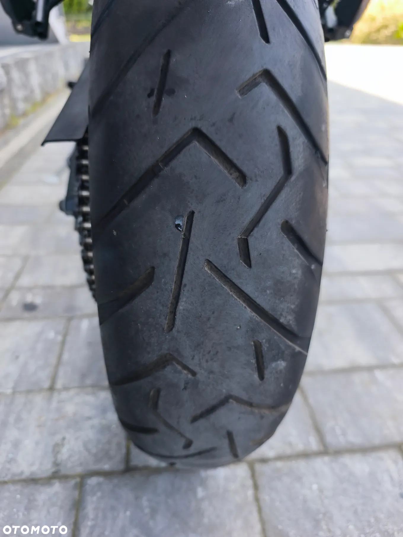 Triumph Tiger - 12