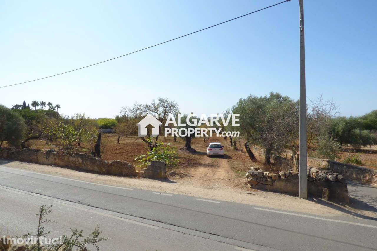 ESTOI - Terreno para construção com vista MAR - Grande imagem: 4/10