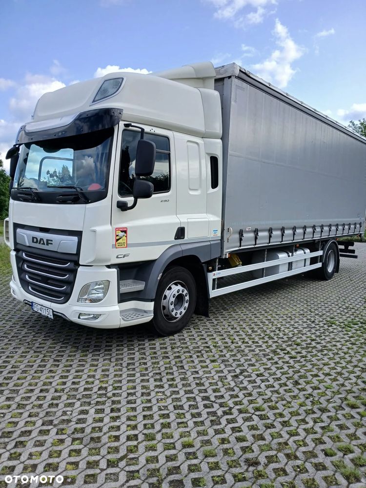 DAF CF 290DAF CF 290 DMC 18, 19 EPAL NOWE TACHO G2V2 faktura VAT, Netto 143 000. - 1